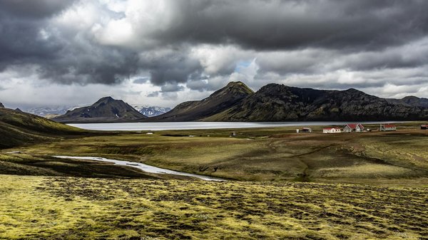 Sevrage cannabique : 5 façons dont l'auriculothérapie aide à maîtriser