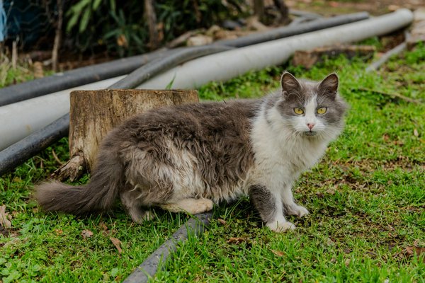 Développez vos compétences en esthétique et bien-être à toulouse !