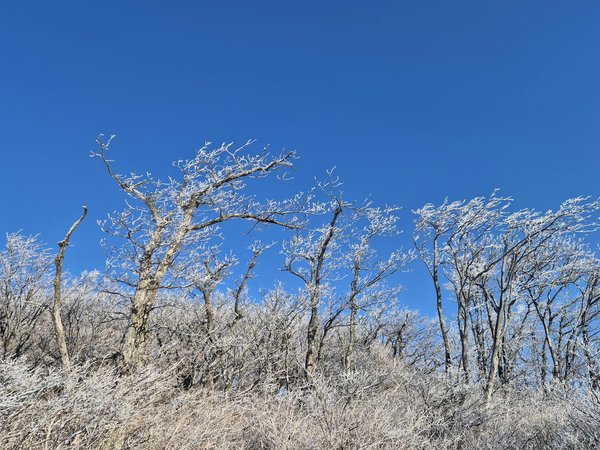 Explorez comment l'acupression soulage durablement les douleurs chroniques du dos.