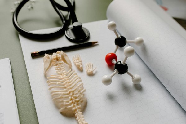 Exploration des bienfaits santé de la spiruline : Comment l"incorporer efficacement dans votre alimentation ?