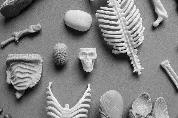 Pourquoi l'ORL est Essentiel dans la Gestion des Troubles Auditifs : Un Guide Indispensable